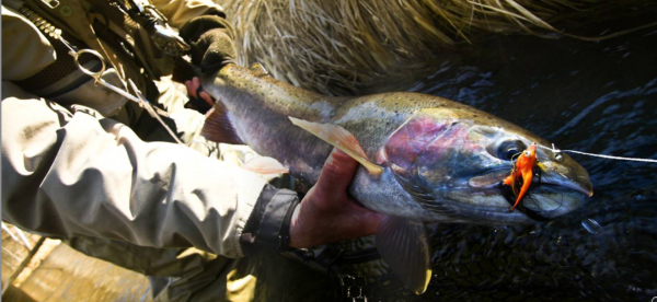 SLEEPING IN DA DIRT #2