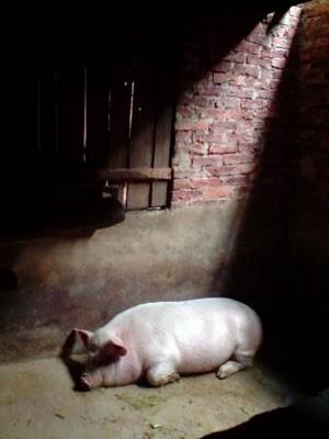 Carnets, 21 février : Sept sur deux roues (Chengyang)