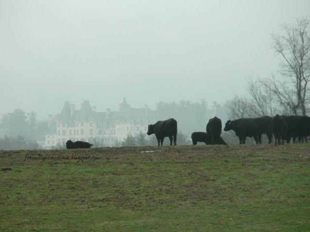 West Side: Le secteur de Biltmore pas inclus dans le ticket