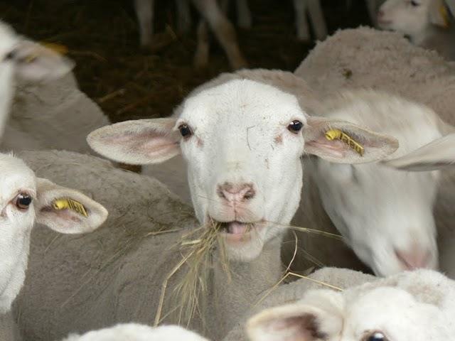 West Side: Le secteur de Biltmore pas inclus dans le ticket