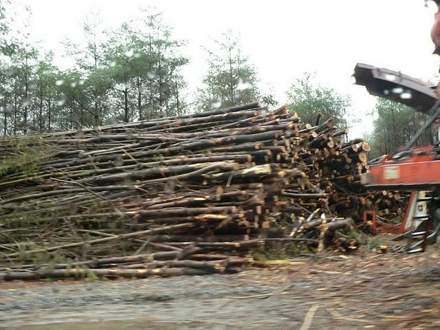 West Side: Le secteur de Biltmore pas inclus dans le ticket