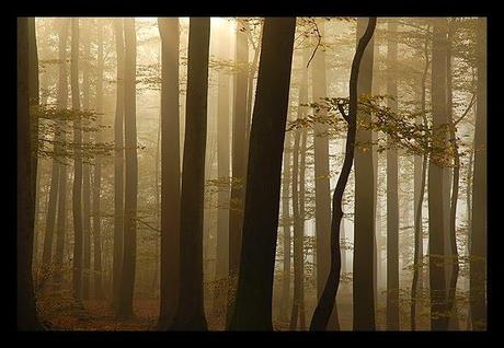 Le 8ème Prix des Lecteurs du Télégramme # 1