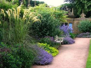 Comment créer votre jardin anglais ?