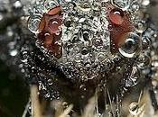 L'art photographique Miroslav Swietek