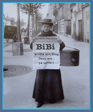 Deux ans de blog : BiBi arrête tout.