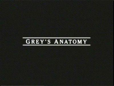 Série : Grey’s anatomy (saison 6)