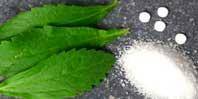 La stevia, fin de la polémique?