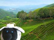 Porte cles moutmout mini doudou tout doux