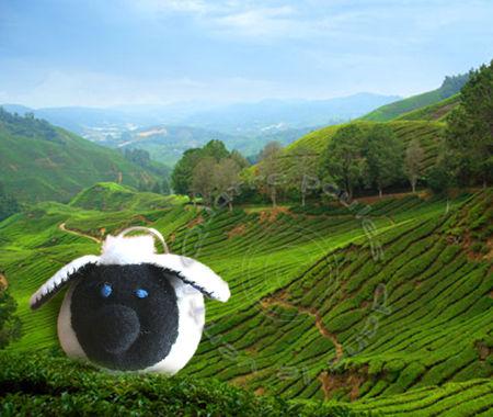 porte_cle_mouton_noir3