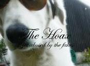 Hoax Abused Fakes (2010)