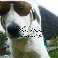The Hoax - Get Abused By The Fakes (2010)