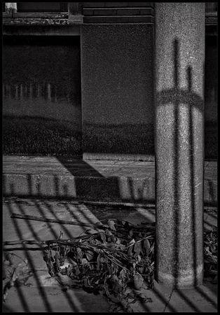 Durutti_Column_Daaram