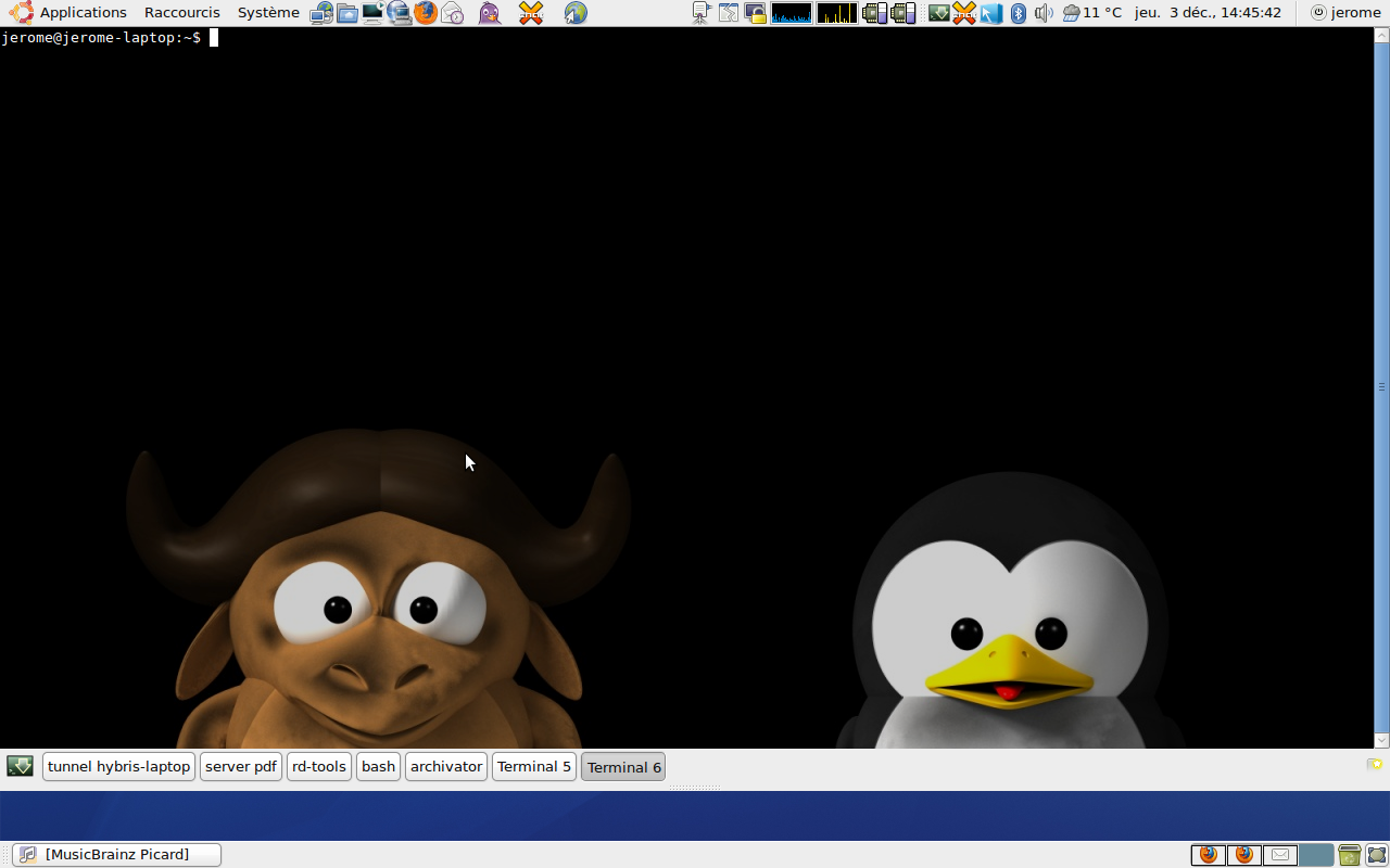 Guake ! Mon terminal !