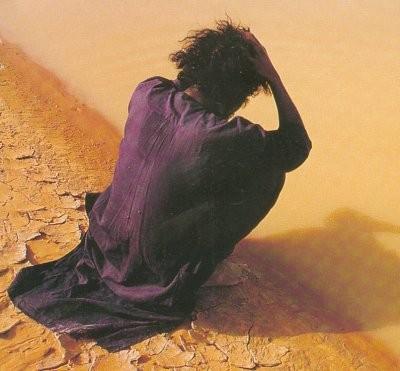 La pauvreté au milieu de l'abondance, par Henry C.k. Liu