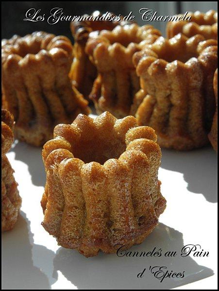 cuisine 2010 004-copie-1