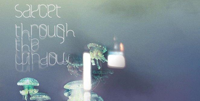 Le son du week end :: Saycet “THROUGH THE WINDOW”