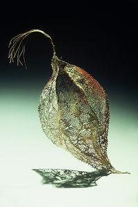 demain_la1ere_froidure