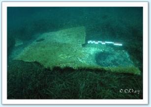 l'arrogante prospection à hyeres plaque