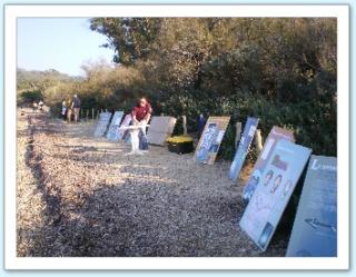 ripe-porquerolles-hyeres-plongee