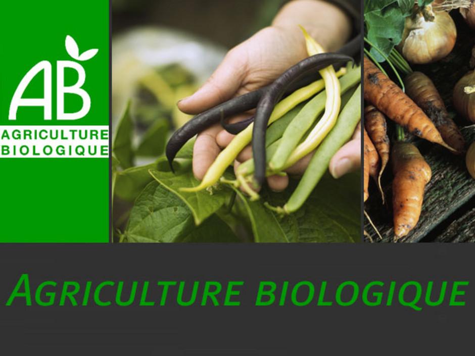 agriculture biologique Dossier   LAgriculture Bio en quelques mots ...