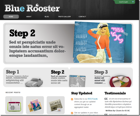 blue rooster theme 11 Thèmes WordPress gratuits