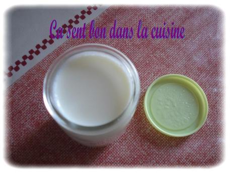 Yaourts maisons avec les ferments lactiques Alsa