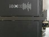 L’iPad désossé