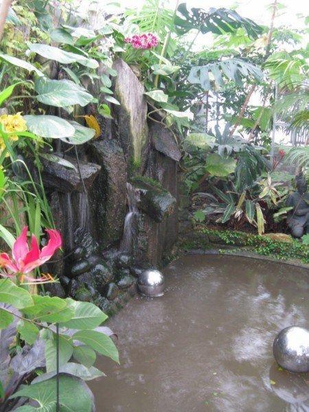 Ambiance tropicale aux serres de Mancieulles