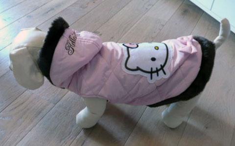 Les accessoires et vêtements Hello Kitty pour chiens