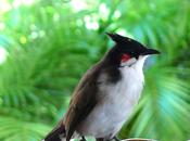 vacances… 2éme jour