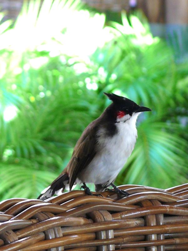 vacances… 2éme jour