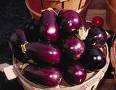 Confiture d’aubergines