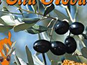 14ème édition Festa l’Oliu Novu Clôture aujourd'hui