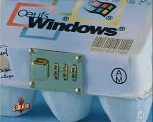 ADSBdeSANNOIS-Oeufs-windows.jpg