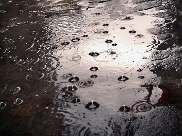 Jeudi et vendredi : Temps frais et pluvio-orageux ? 