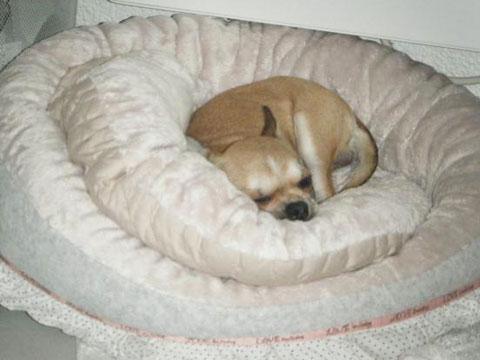 Boutique : Petit Bout et Compagnie