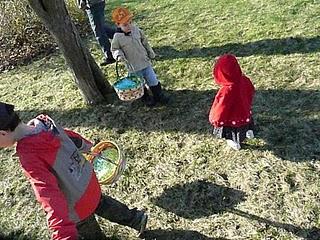 La chasse aux oeufs de pâquerette