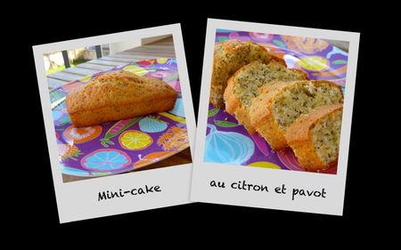 Cake_citron_pavot