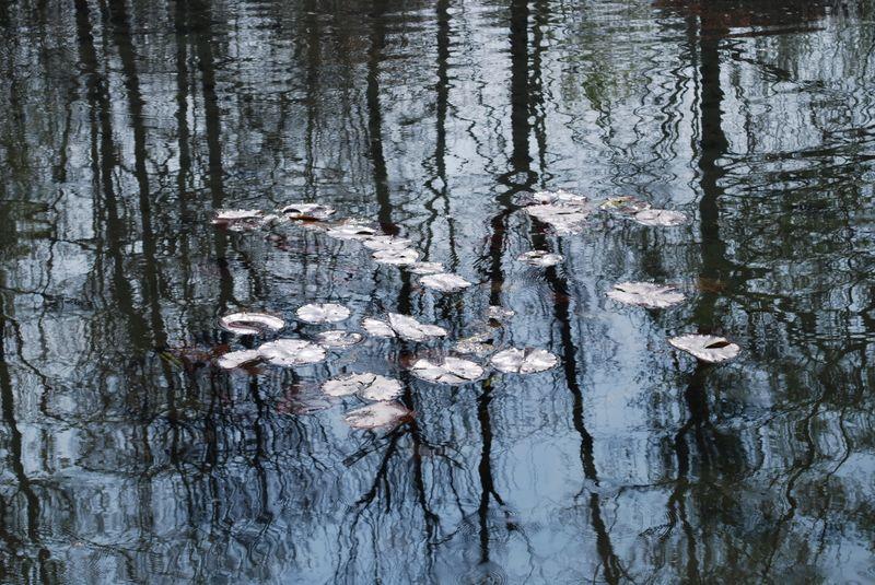 Les oiseaux nous attendent pour crier (Georges Jean)