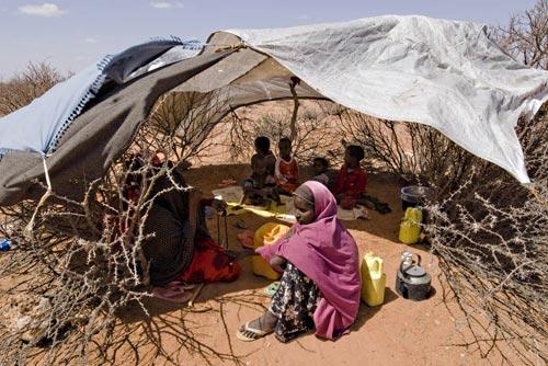Somalie l'adversité pour familles déplacées