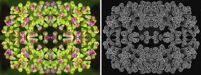 Souvenir d'enfance: la beauté au quotidien