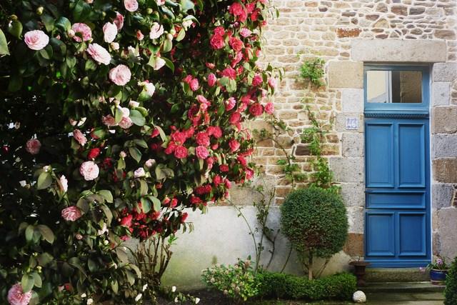 Image Hosted by ImageShack.us