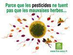 herbicides, cause dans maladie Parkinson