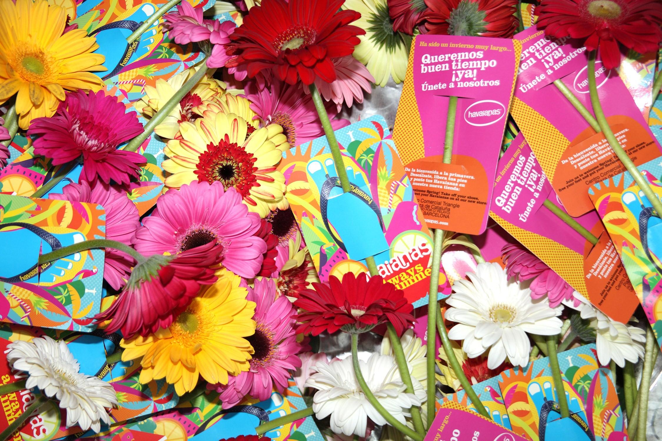 Havaianas lance son premier concept store en Europe