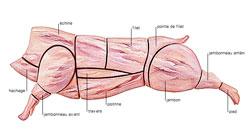 La viande de porc