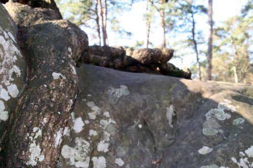 rocher canon chignon 7 mars 2010 025.jpg