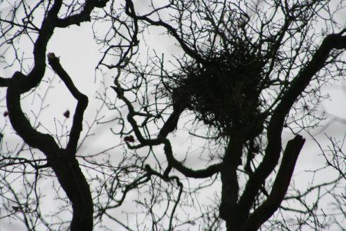 pies 1 queue 20 février 003.jpg