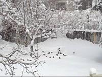 Méfiez-vous des agents de voyage!