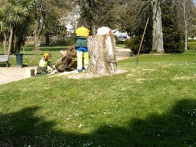 VU D'ICI et d'une certaine manière