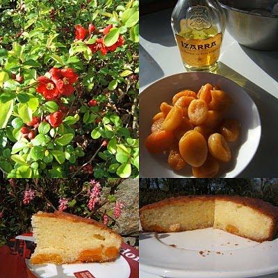 Gâteau au mascarpone abricots et Izarra